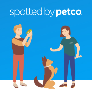 petco account